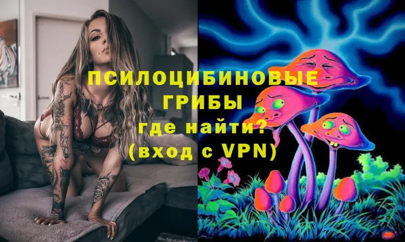 Псилоцибиновые грибы Psilocybe  KRAKEN ссылка  Белинский 